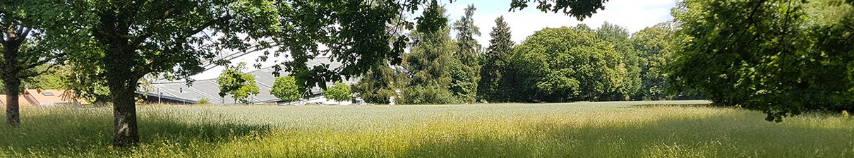 2018 : Démarche participative pour le parc de Prairie-Nord