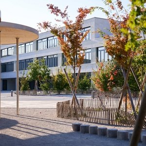 Rénovation du collège de Chanel